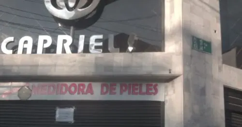 PIELES FINAS CAPRIELS PIELES FINAS CAPRIELS